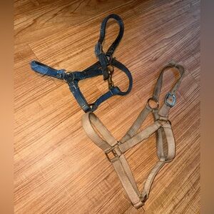 Old horse halters